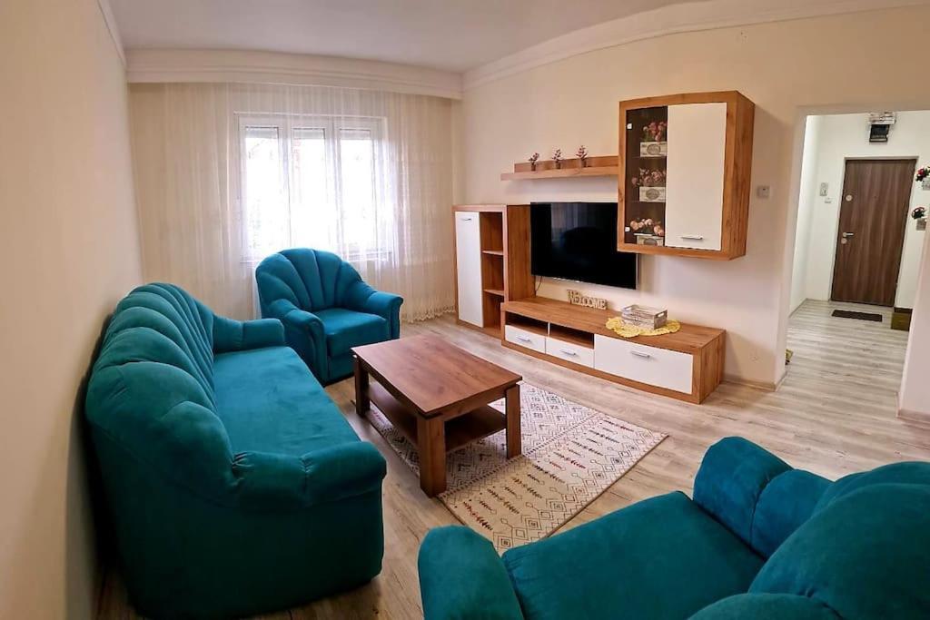 Ori Modern Apart Malul Muresului , Arad Exterior foto