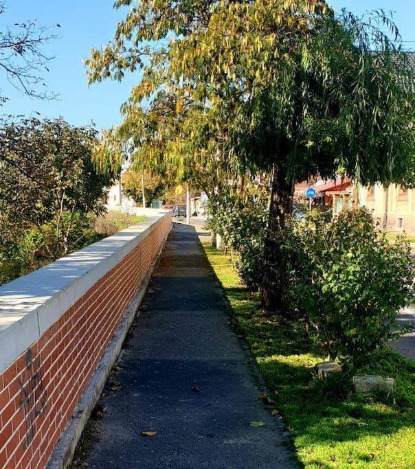 Ori Modern Apart Malul Muresului , Arad Exterior foto